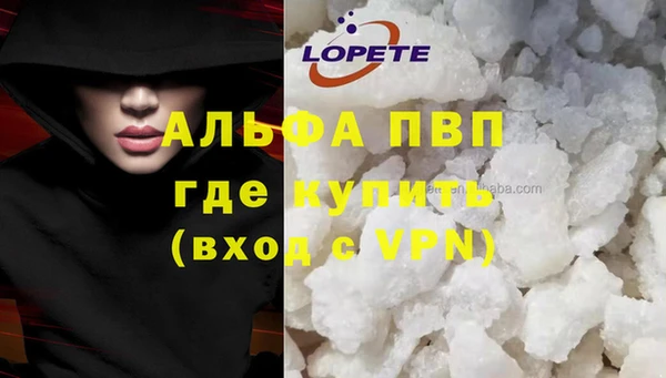 молекула духа Аркадак