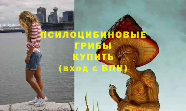 МДМА Алексин