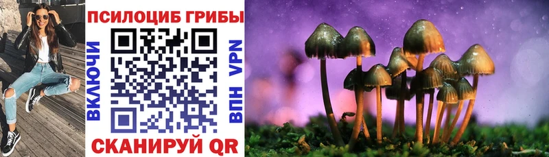 Псилоцибиновые грибы MAGIC MUSHROOMS наркотики Кизел