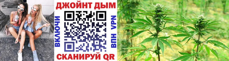 Конопля план  купить наркотики цена  Кизел 